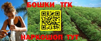стаф Донской