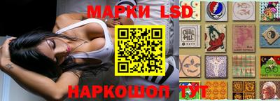 стаф Донской