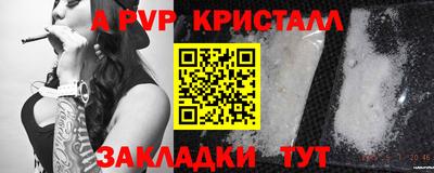 стаф Донской