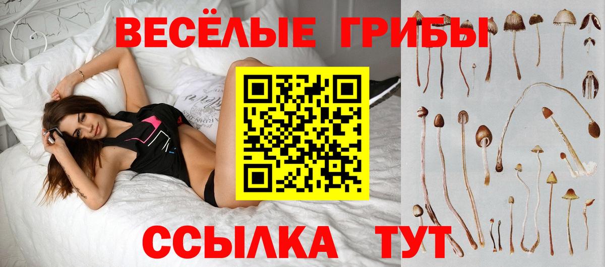Новоалександровск  Псилоцибиновые грибы GOLDEN TEACHER  Вход с VPN 